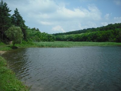 vedere_trupului_de_padure_maradeni_2