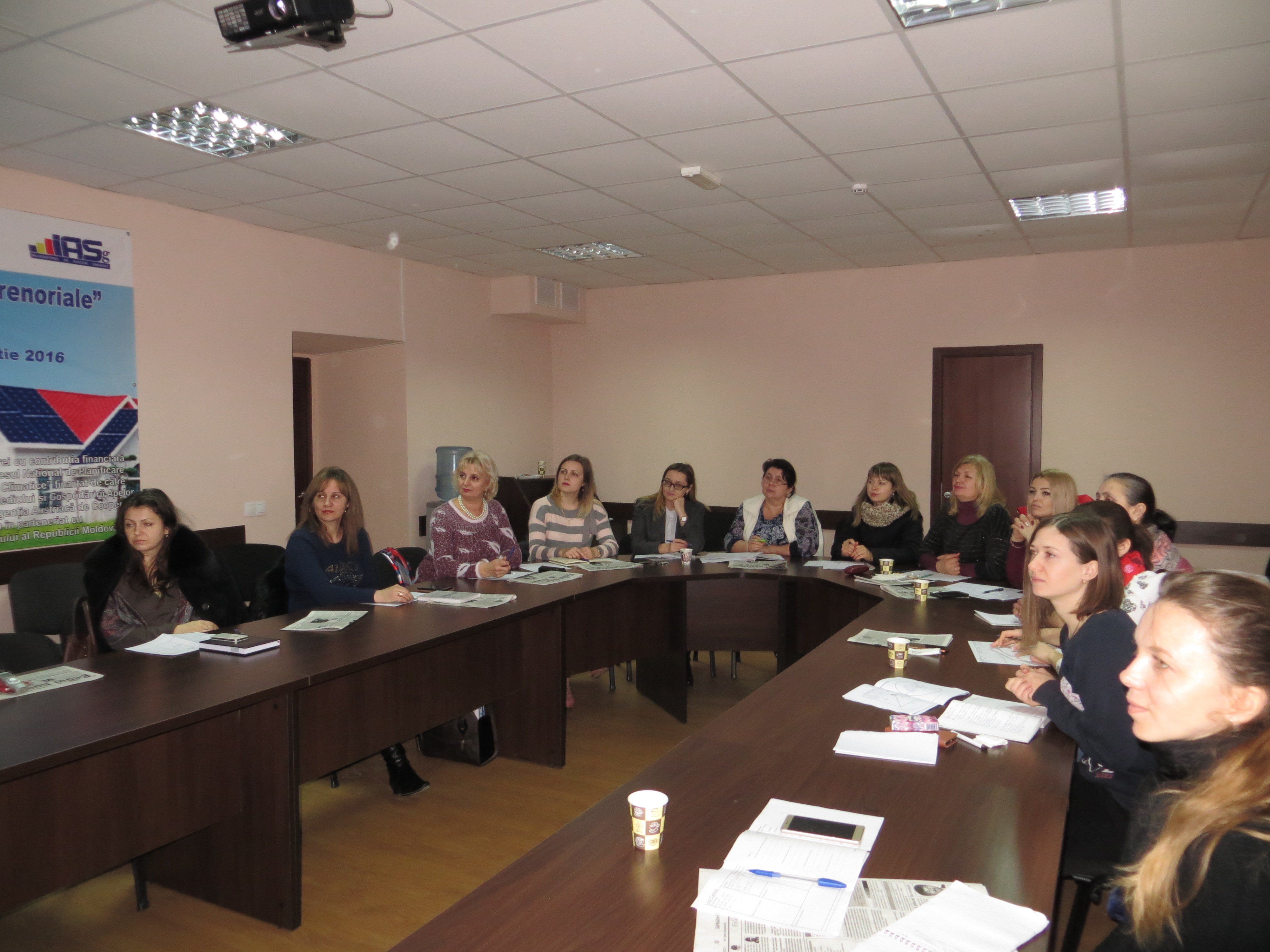 proiect