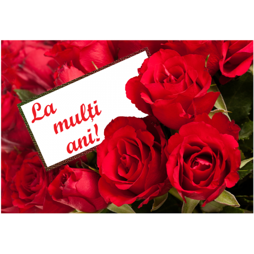 444574 vafa felicitare La multi ani 30x20cm - Copy-500x500