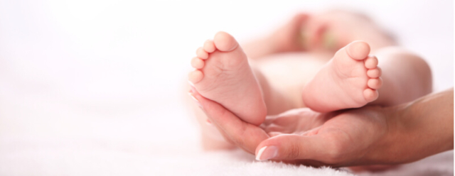 poza-articol-talus-vagus