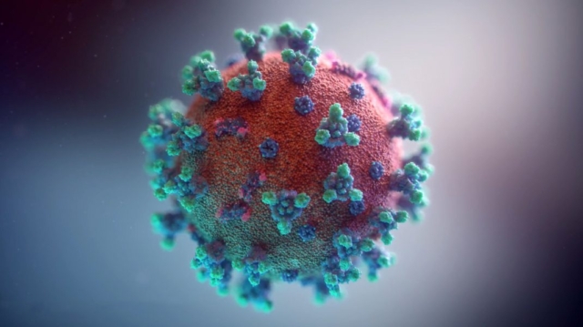 coronavirus-1070x600