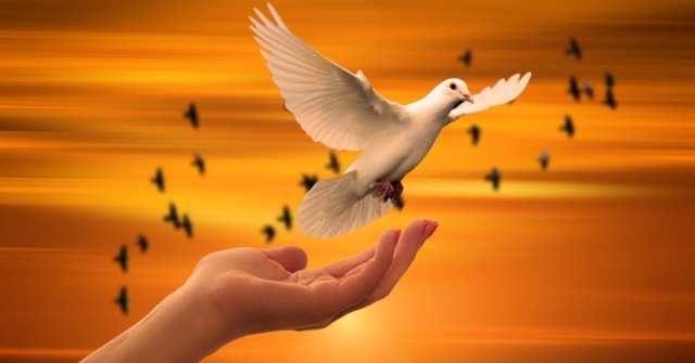 Pace-poezie-1300x680