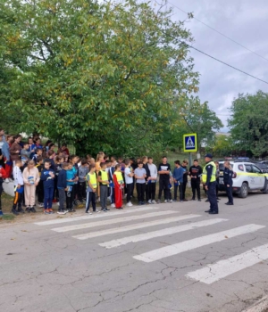Traversăm strada doar la verde
