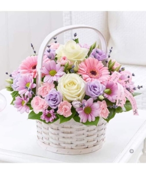 310926733_5271758496254970_718901024045435697_n