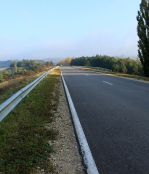 Drumuri la telenesti