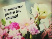 8 Martie, soarele a răsărit să vă sărbătorească