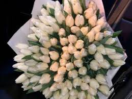 images (55)