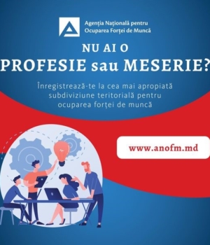 agenția forțe de muncă