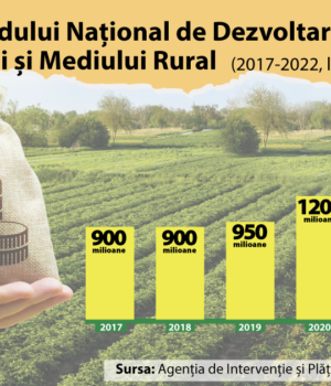 infographic-EvolutiaFonduluiNational-2-01 (1)
