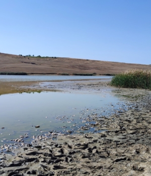 Dezastru ecologic la Pepeni