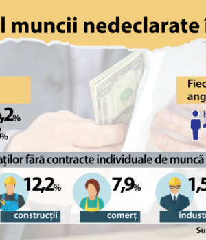 Ilustratie-DateStatisticePlic-2-01