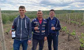 Anatol, Ion și Ștefan Dumitraș