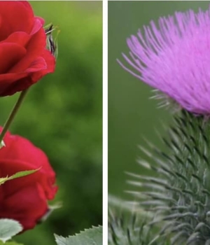 425846566_3772354939700384_7440062623537692193_n