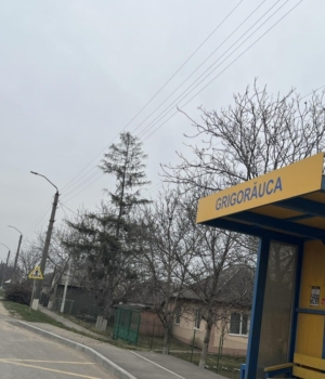 Gri_