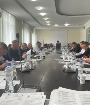 consilierii în timpul lucrărilor ședinței (1)