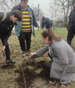 Tinerii din orașul Sângerei la lucrările de înverzire a urbei