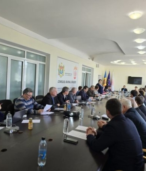participanții la masa rotundă