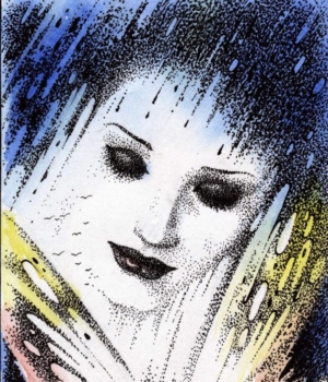 caricatură brașoveanu