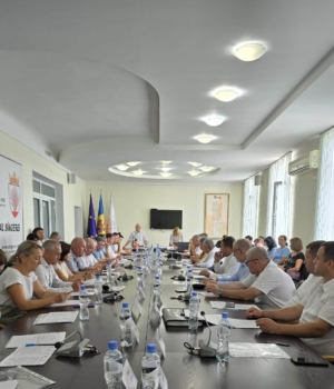 Ședința CFonsiliului raional