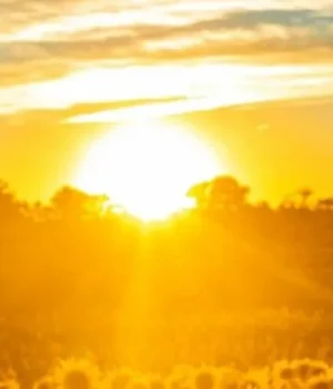 tvn-acoperi-9-768x429