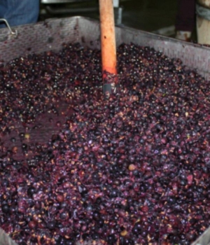 Salvatorii atenționează....