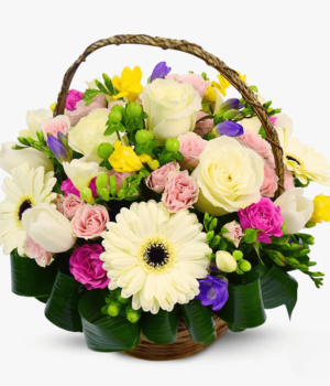 ezgif.com-gif-maker--3-_cleanup