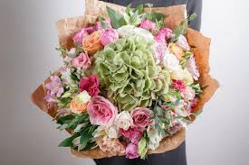 images (6)