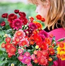 images (7)