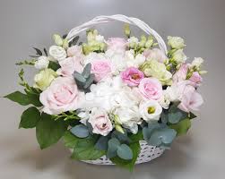 images (3)