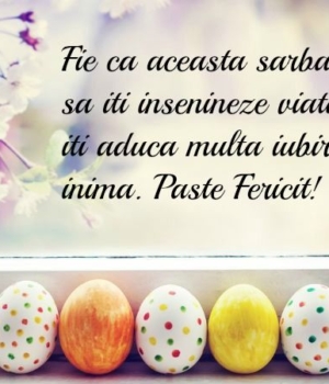 937414bdef46ed65c6a65f6f2f2cb187