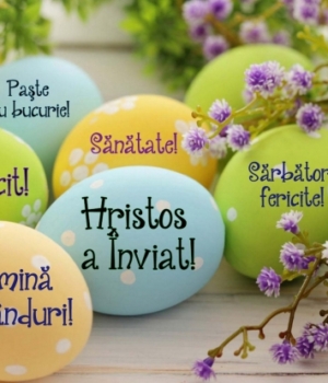 paste-fericit-5_06903800