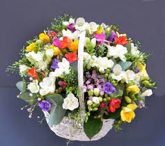 images (4)