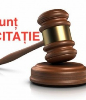 licitație