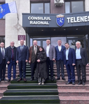 f2telenești poza nr.1
